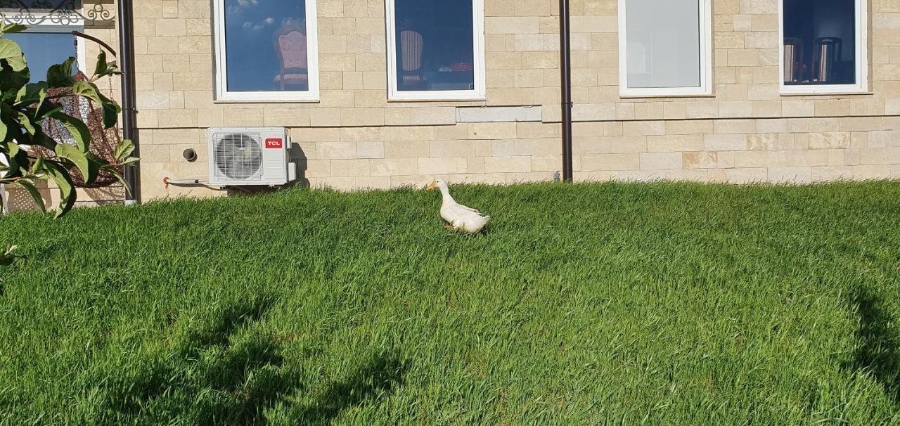Apartmani Bojeresku Negotin Kültér fotó