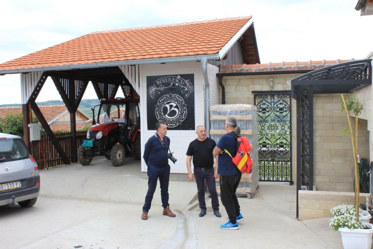 Apartmani Bojeresku Negotin Kültér fotó
